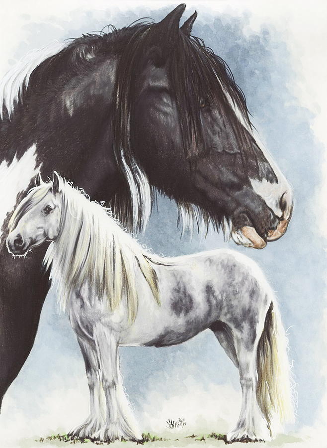 Gypsy Cob - Barbara Keith